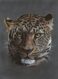 Detailed drawing of a leopard's face on a dark background