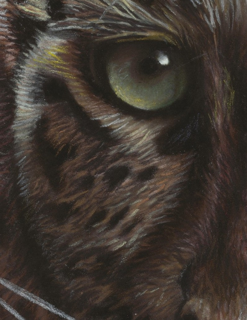 Close-up of an leopards green eye with detailed fur drawn with pastel pencils 