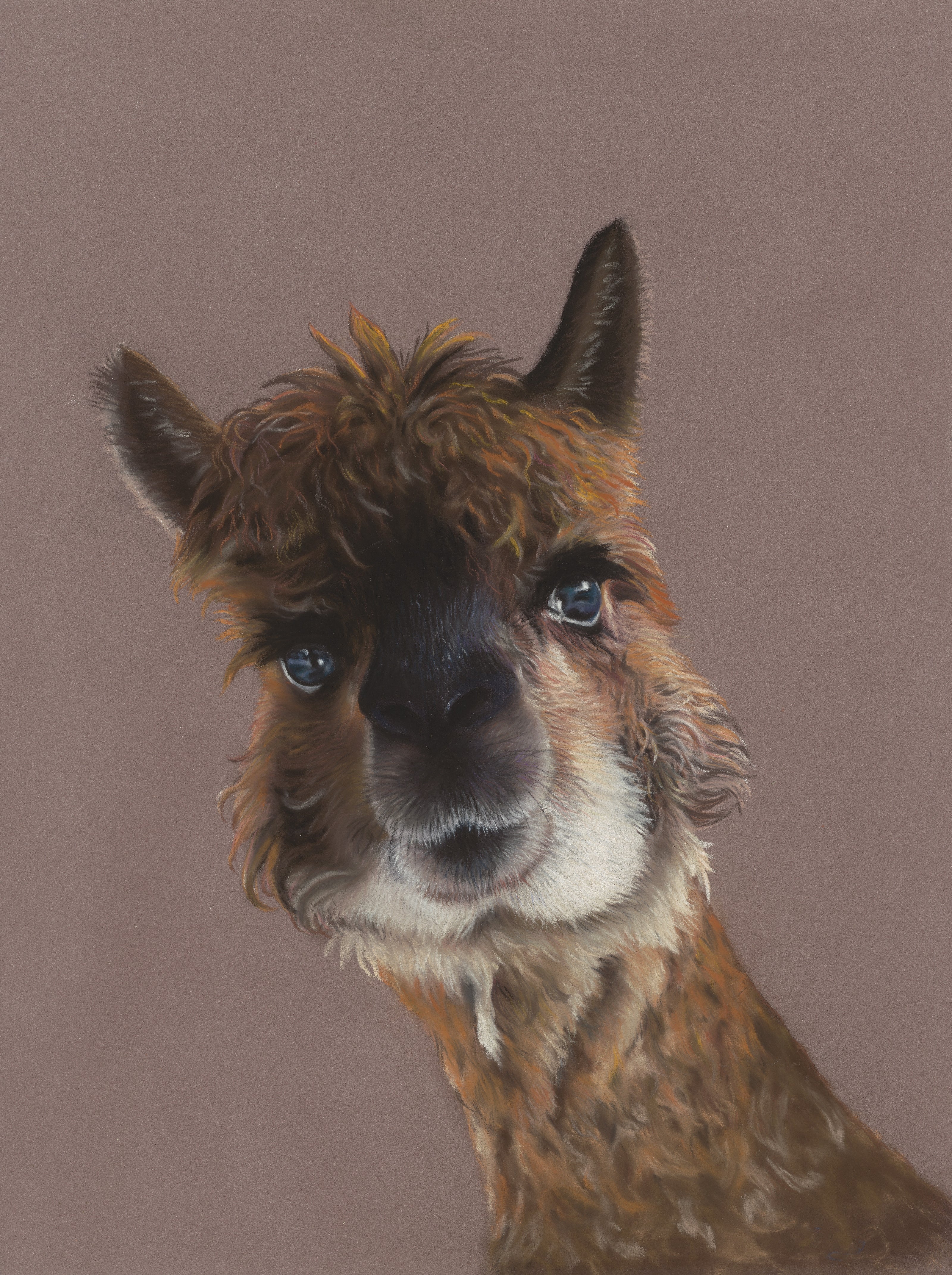 Artistic illustration of a llama's face on a brown background