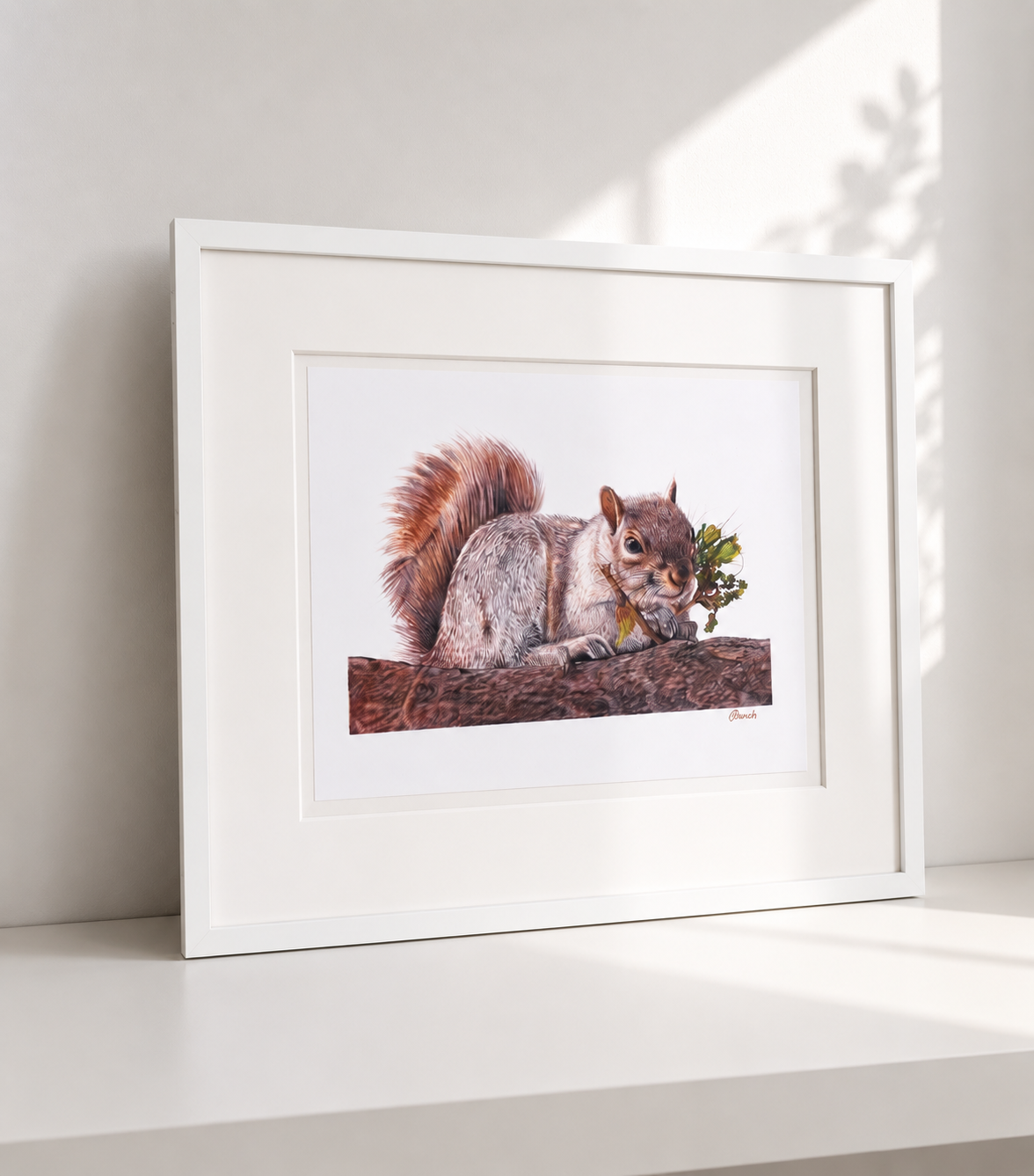 Squirrelling Around